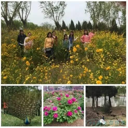 ÓŵÂ88ËÄ·½ÍØÕ¹Ô˶¯Ö®---̤ÇàÓÎÔ° ÓŵÂ88ËÄ·½ÍØÕ¹Ô˶¯Ö®---̤ÇàÓÎÔ°