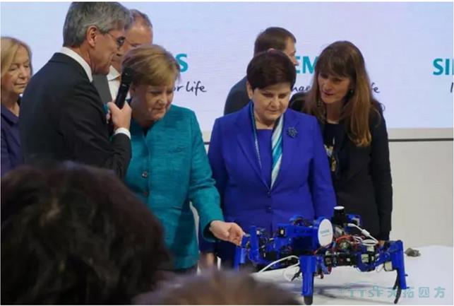 ����������¹���ŵ��������